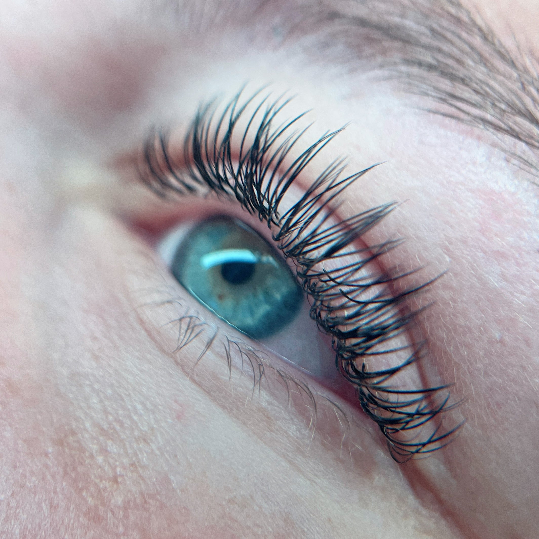 Flat 0.15 - lashes