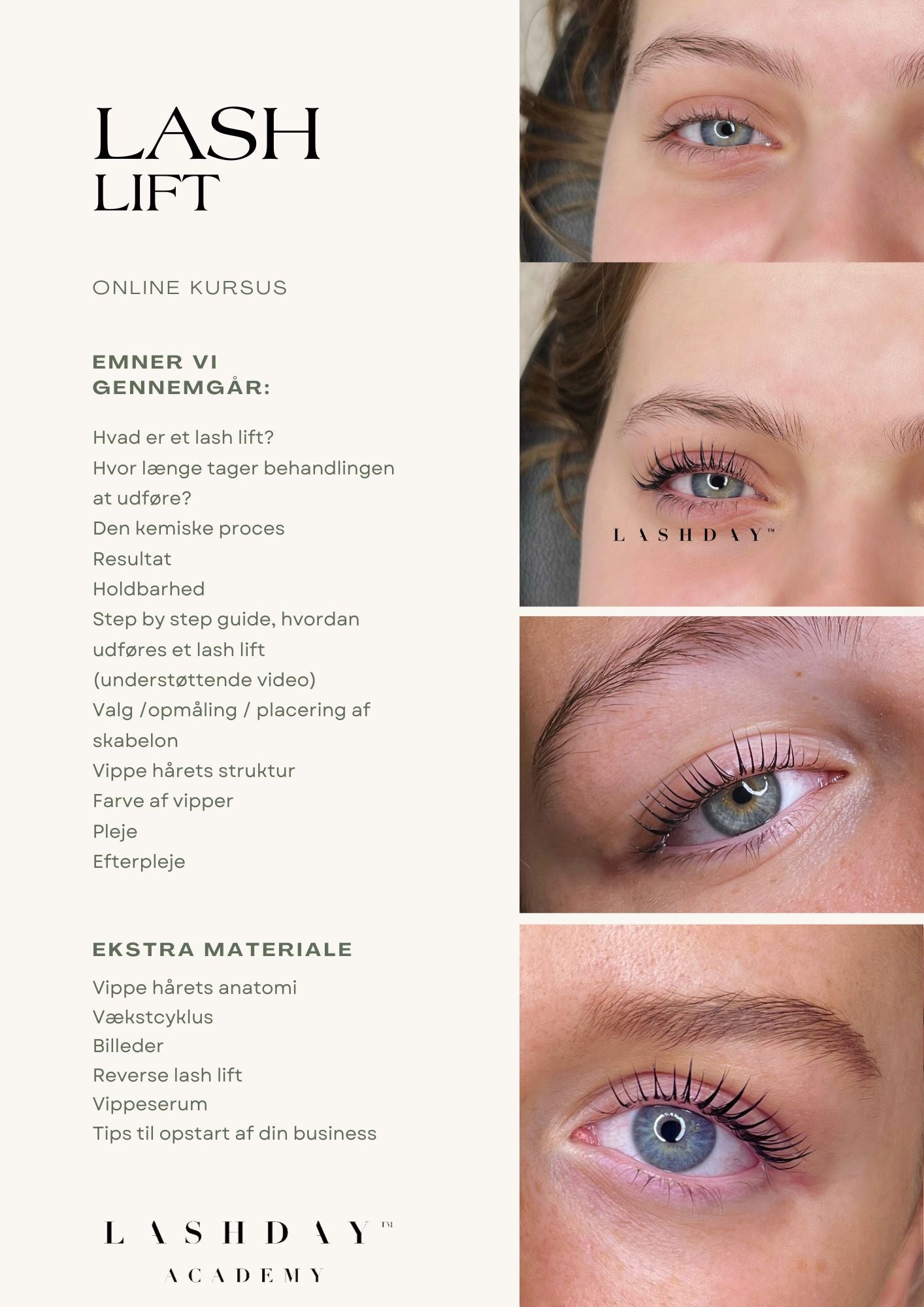 Brow lift + Lash lift online kursus