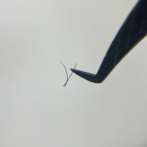 YY - lashes