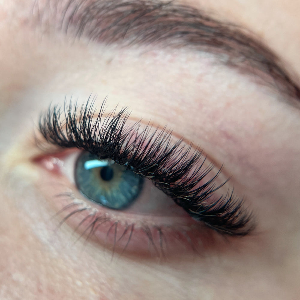 Easy Fan Lashes til eyelash extensions