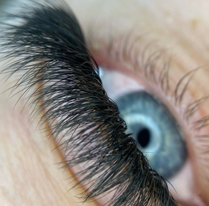 Premade Fans med D-kurve til volume lashes.