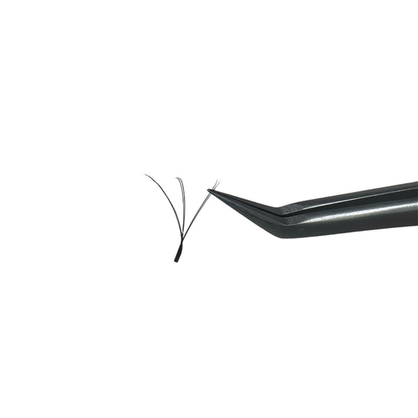 W-lashes til professionelle lash extensions.
